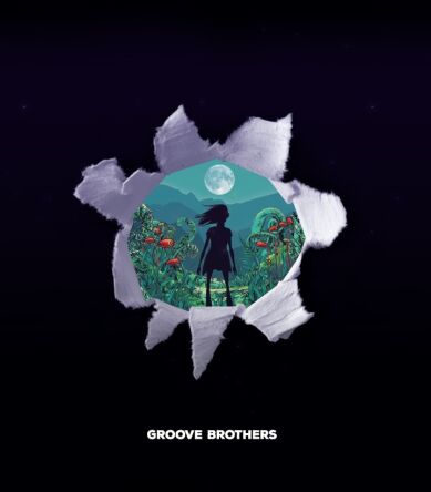 Groove Brothers LP Vinyl